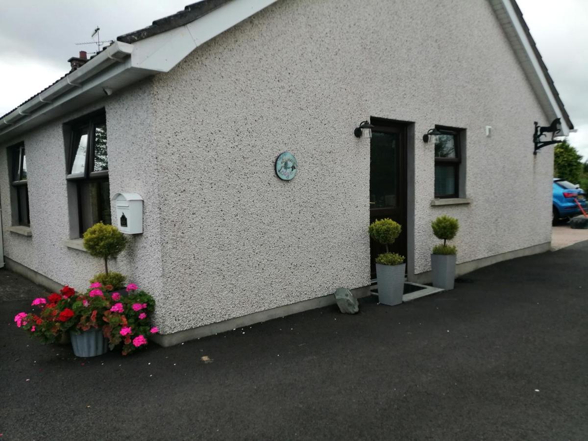 Lynn'S Lodge, International Airport 15Mins Randalstown Extérieur photo