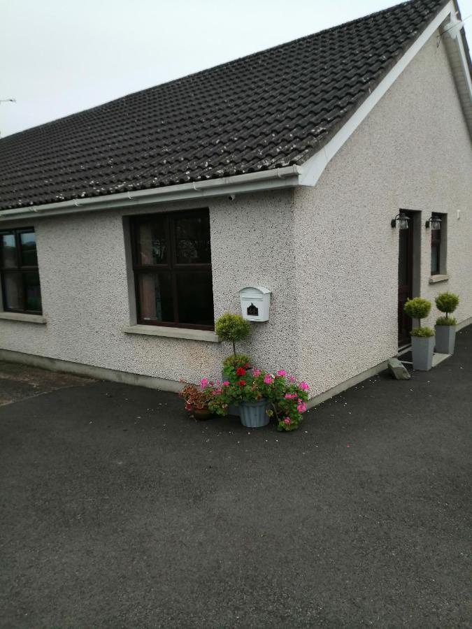 Lynn'S Lodge, International Airport 15Mins Randalstown Extérieur photo